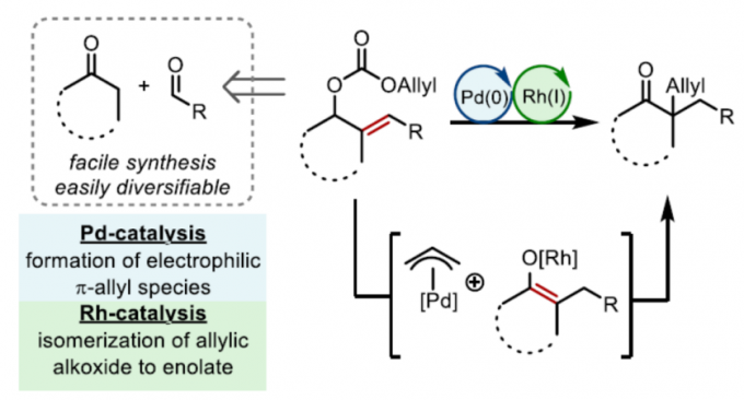 ACS Catal 串联异构化烯丙基化反应方法学研究 化学空间 Chem Station