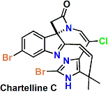 chartellineC