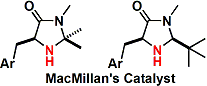 MacMillan_Cat