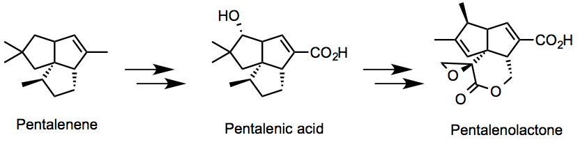 Pentalenene_structure