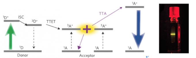 图3 左：TTA的机理；右：TTA-UC溶液，红色光束上转化为黄色