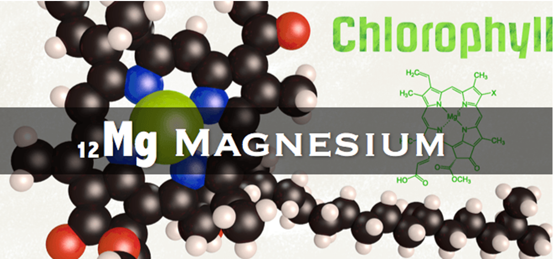 镁元素 Magnesium-生活中无处不在的元素 | 化学空间 Chem-Station