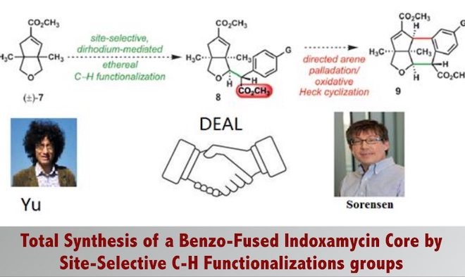 Total Synthesis of a Benzo-Fused Indoxamycin Core by Site