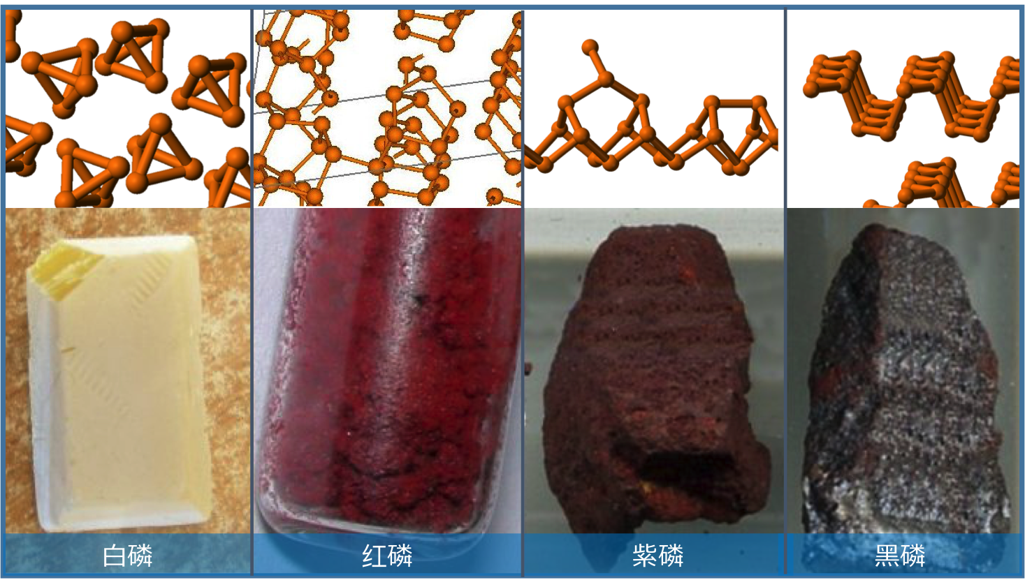 15 磷 Phosphorusー生命的元素 | 化学空间 Chem-Station