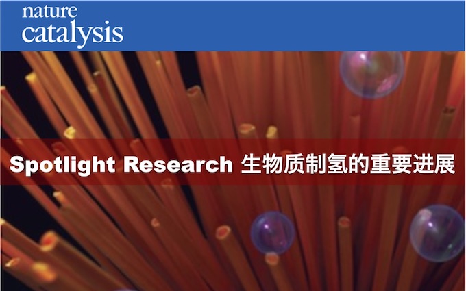 Spotlight Research–Nature Catalysis 生物质制氢的重要进展 | 化学空间 Chem-Station