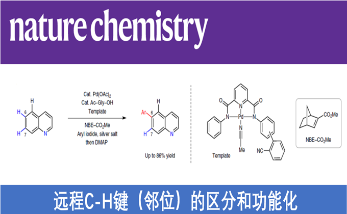 美国Scripps研究所余金权教授团队Nature Chemistry：远程C-H键（邻位）的区分和功能化 | 化学空间 Chem-Station