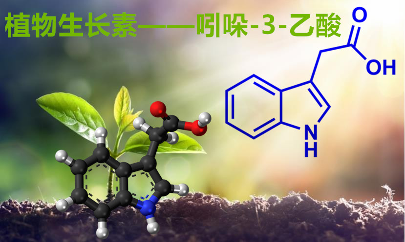 植物生长素 吲哚 3 乙酸 化学空间chem Station