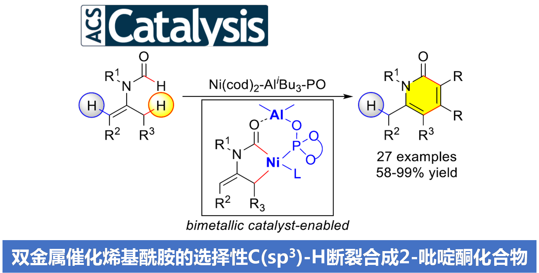 南开大学叶萌春教授课题组acs Catal 双金属催化酰基烯胺的选择性c Sp3 H断裂合成2 吡啶酮化合物 化学空间chem Station