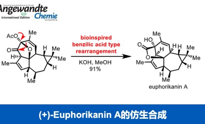 euphorikanin A的仿生全合成| 化学空间Chem-Station