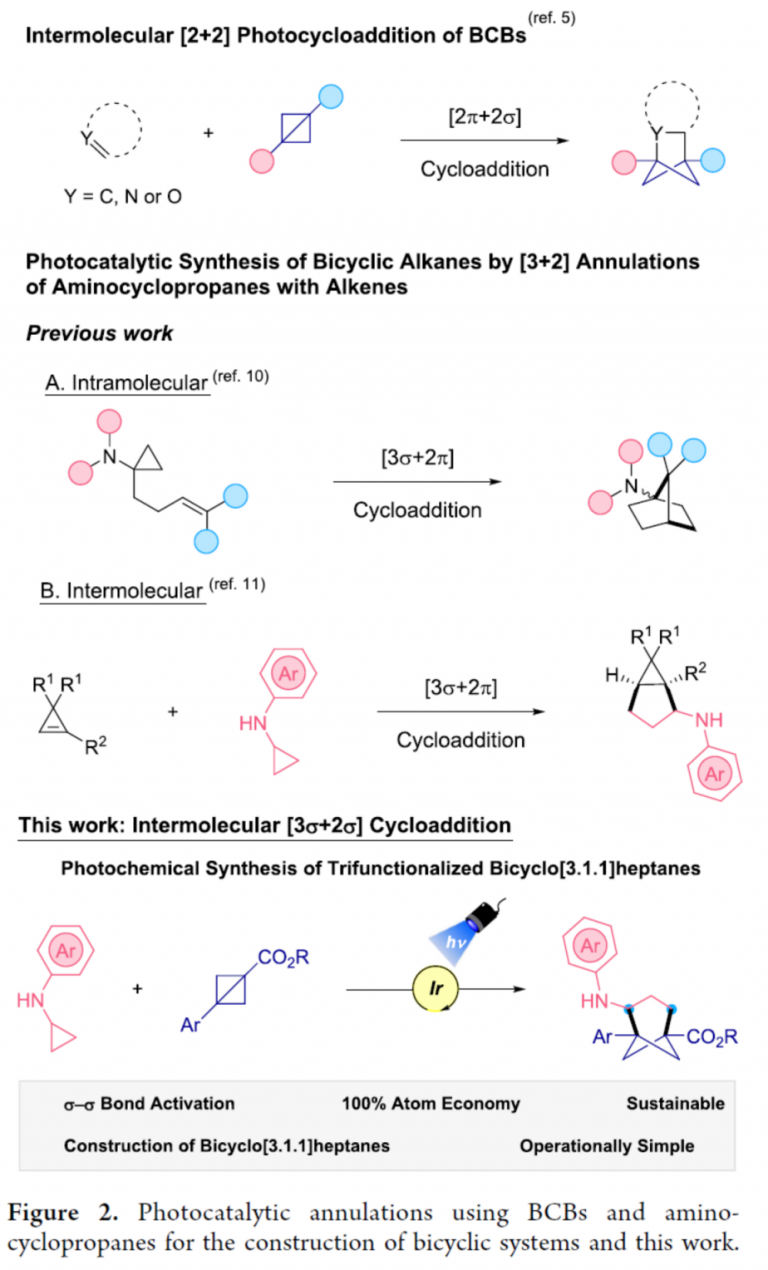 JACS：光化学分子间[3σ+2σ]-环加成反应方法学研究 | 化学空间 Chem-Station