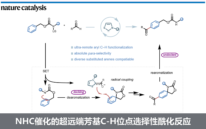 成都大学李俊龙课题组Nature Catalysis: NHC催化的超远端芳基C H位点选择性酰化反应 | 化学空间 Chem-Station