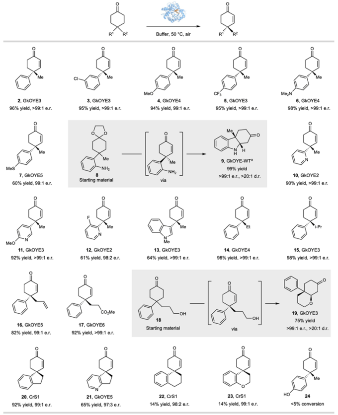 西湖大学叶宇轩课题组Nat. Chem.： 新型去饱和化酶：解锁烯还原酶的非天然反应性实现选择性脱氢 | 化学空间 Chem-Station